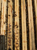 [%FocalLength% - %FNumber% - %Exposure% - ISO:%ISOSpeedRatings%]